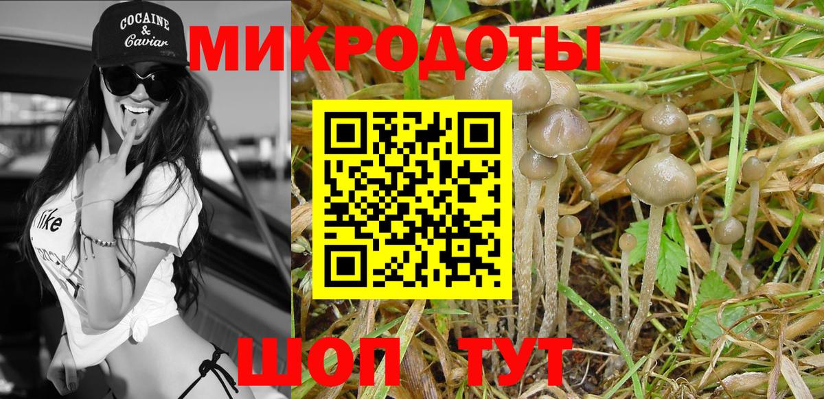 Галлюциногенные грибы мицелий Сухой Лог