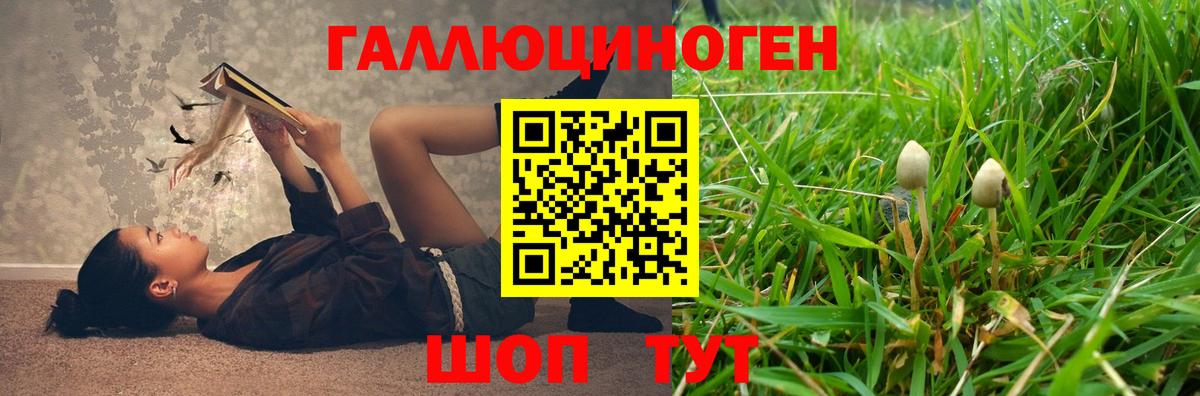Сухой Лог  Галлюциногенные грибы Cubensis  Вход с VPN 